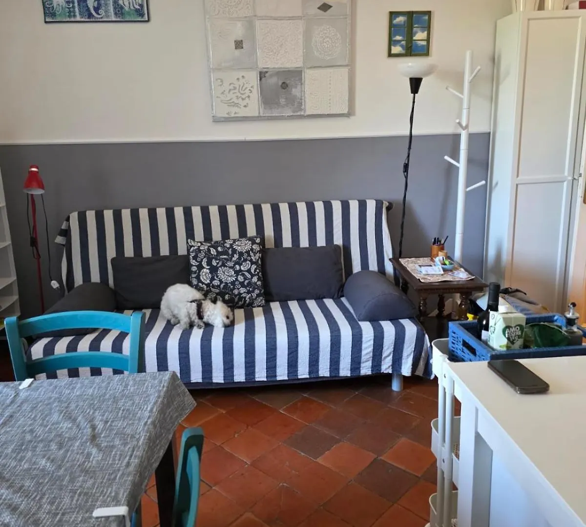 Appartamento The Shell - New Interior Look But Same Old Charme 200Mt From The Sea With Garden And Parking Nearby Imperia